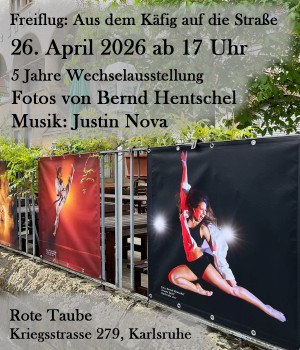 Bild: Bernd Hentschel - Freiflug