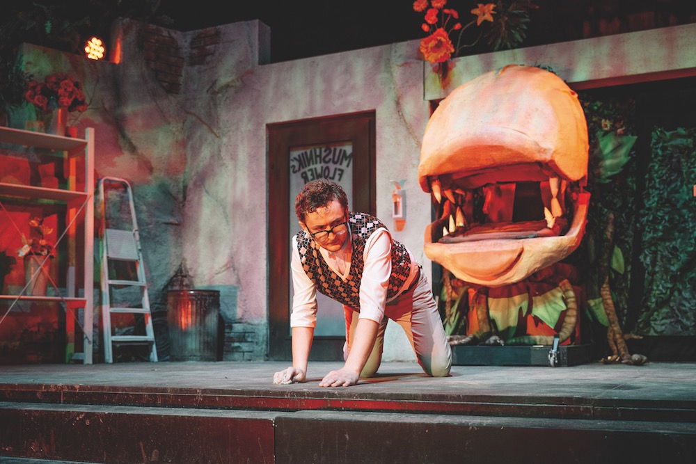 Bild: Der Kleine Horrorladen