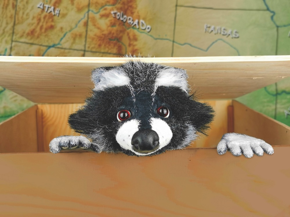 Bild: Rocky Waschbär