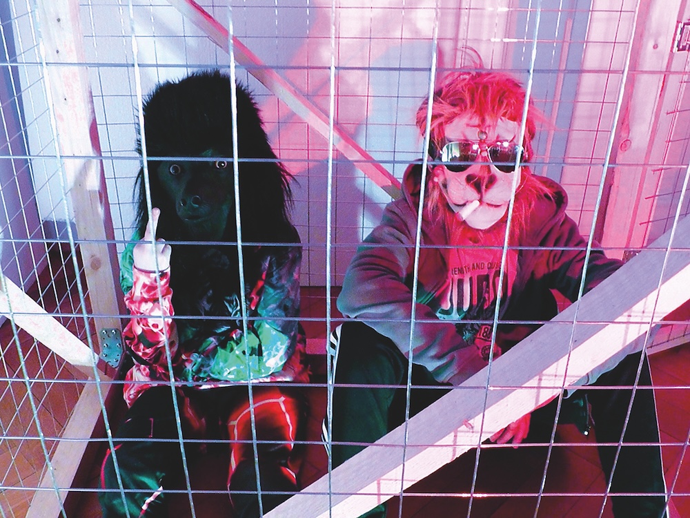 Bild: Bitte nicht füttern!