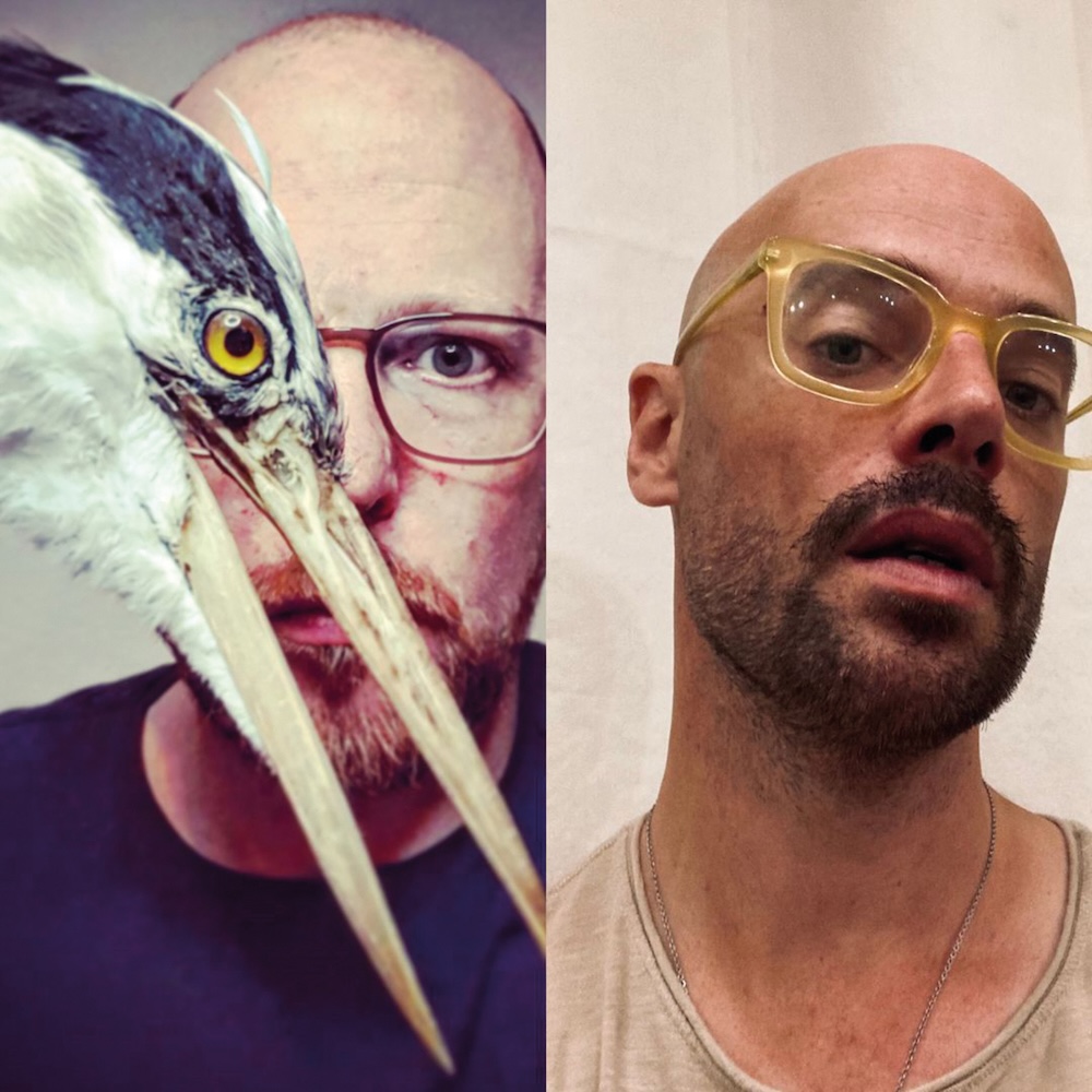 Bild:  Honig & Meursalt