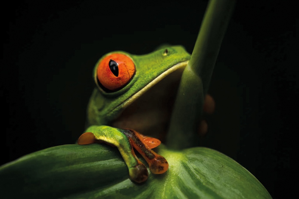 Bild: Multivisionsschau „Naturwunder Erde“