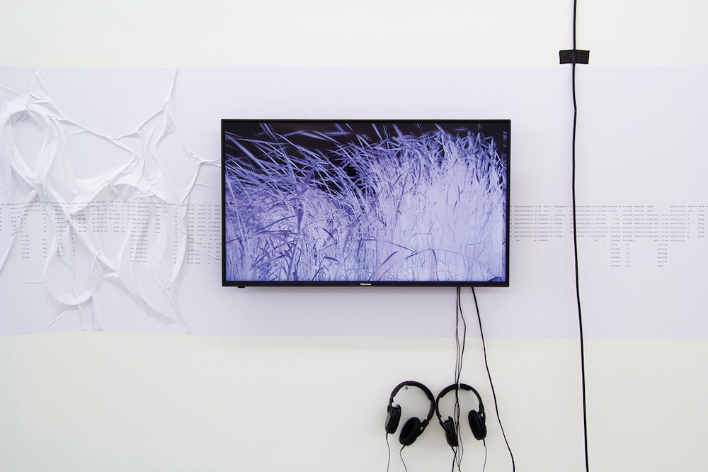 Bild: Anna Barham "delirious mantra"