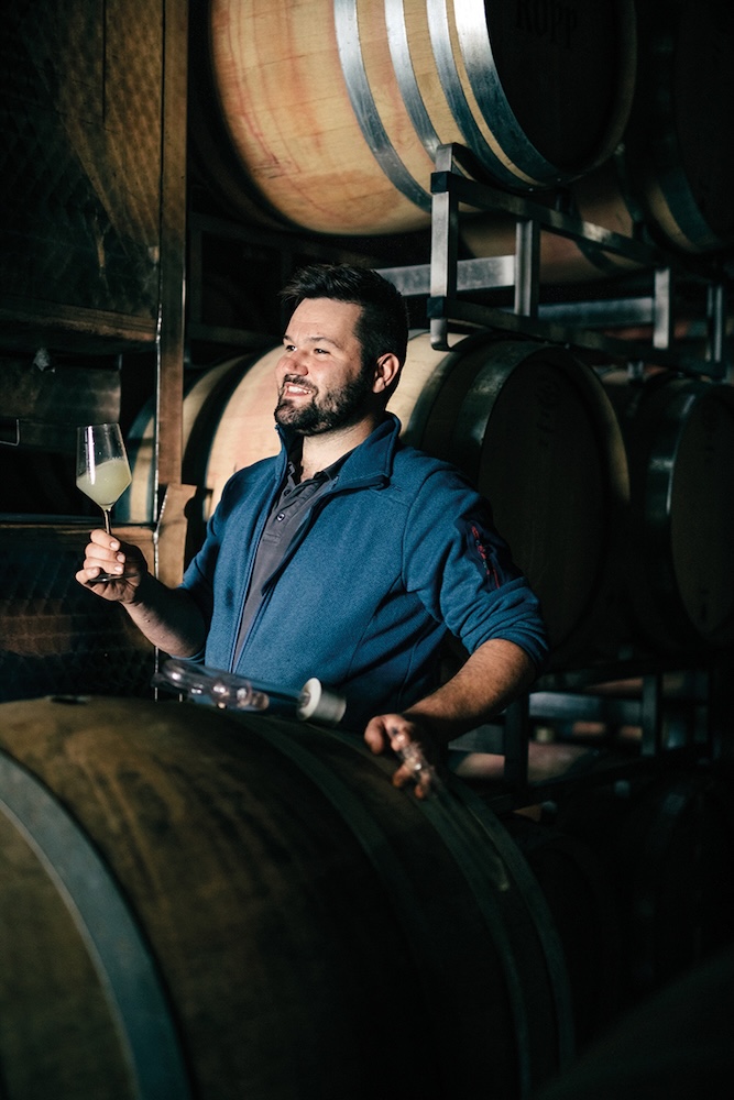 Bild: Tag der Offenen Weinkeller